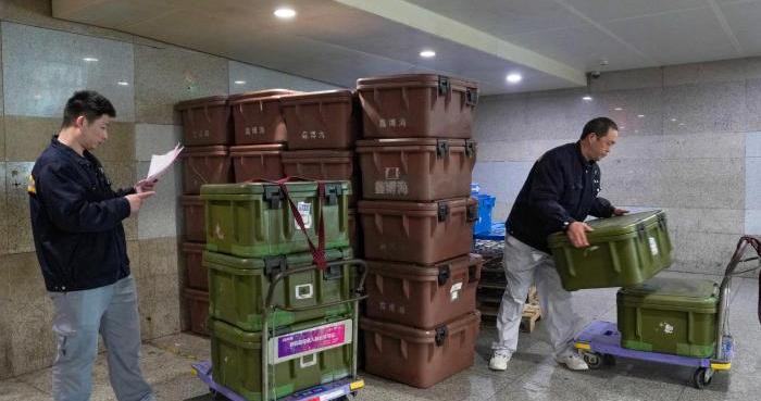 （新春走基层）2026年春运期间 马不停蹄的“小马哥”保障旅客出行需求