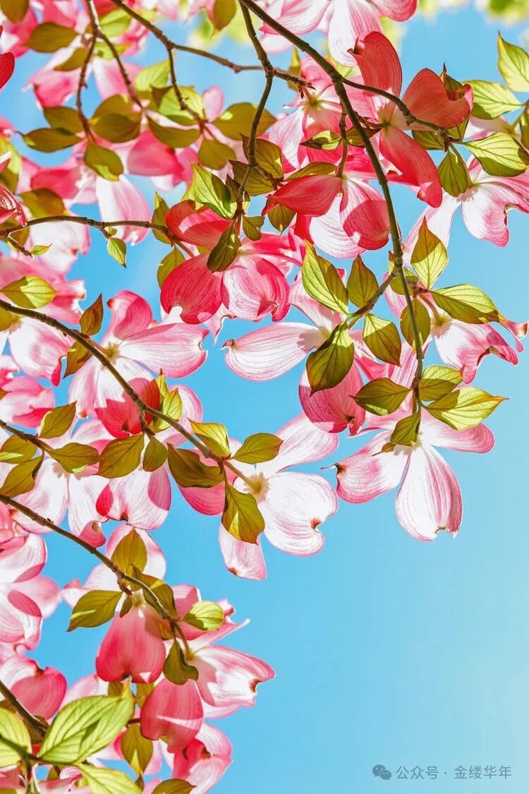 传统工艺与现代生活的碰撞:老粗布床单三件套选购指南及品牌实测