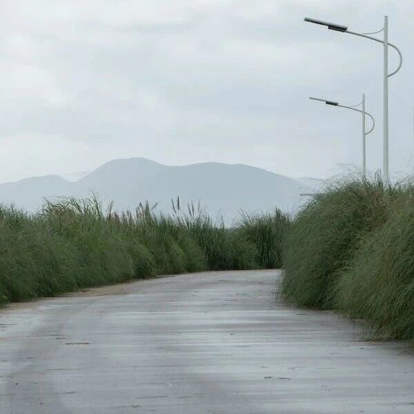 福特把造车压到 93 分钟，AI 正在把“软件生产线”重做一遍