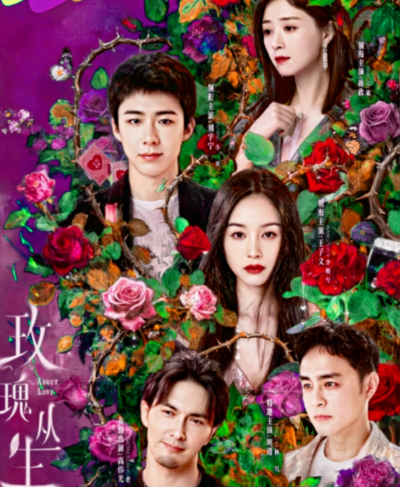 王子文、蒋欣、刘宇宁领衔都市情感剧《玫瑰丛生》开播,明道、高伟光加盟,这才是观众想看的都市剧!