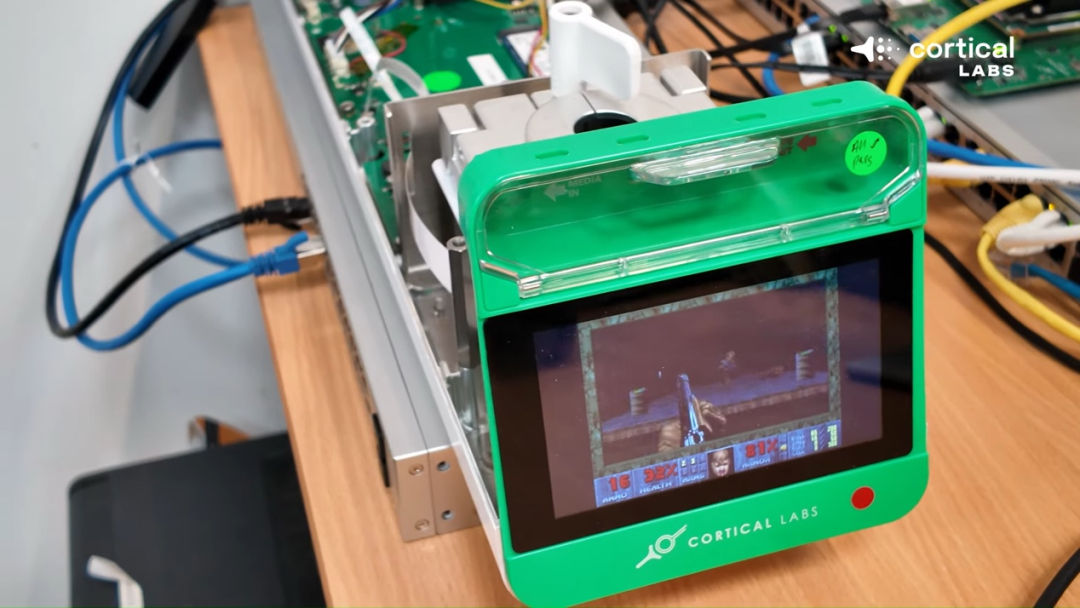 图丨CL1(来源:Cortical Labs)