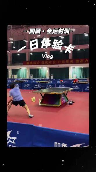 圆圆奋力向前冲！