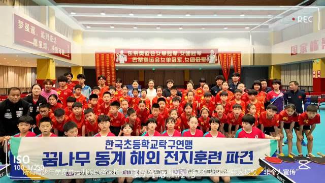 陈梦乒校 | 韩国国青队乒乓交流赛圆满落幕！