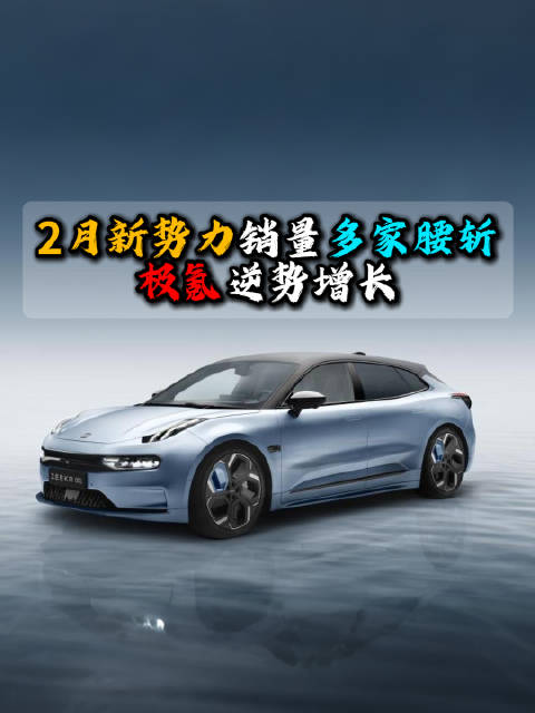 2月极氪汽车销量逆势同环比双增长