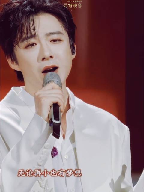 刘宇宁央视元宵晚会献唱《无名之花》获赞