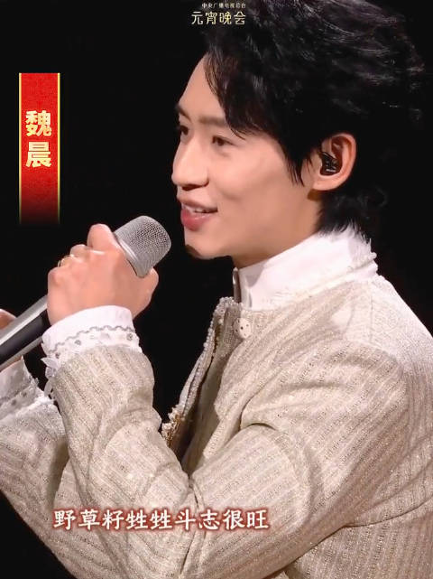 魏晨回应与刘宇宁合唱无名之花：今宵共团圆