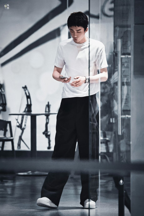 王子文和刘宇宁的体型差在《玫瑰丛生》中如何通过镜头语言来呈现美感？