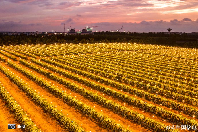 蔡国庆演唱的压轴曲目《幸福的灯火》有什么特别寓意？