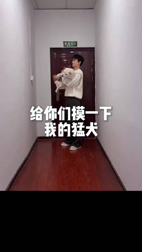 板，狗北汤圆儿什么馅儿？甜蜜蜜！ @吴磊LEO @我太北了1014 元宵喜乐吴磊