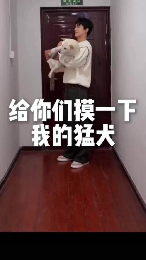 吴磊携猛犬㊗️大家元宵节快乐！@吴磊LEO