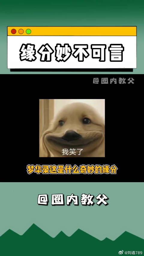 陈晓微博VC计划