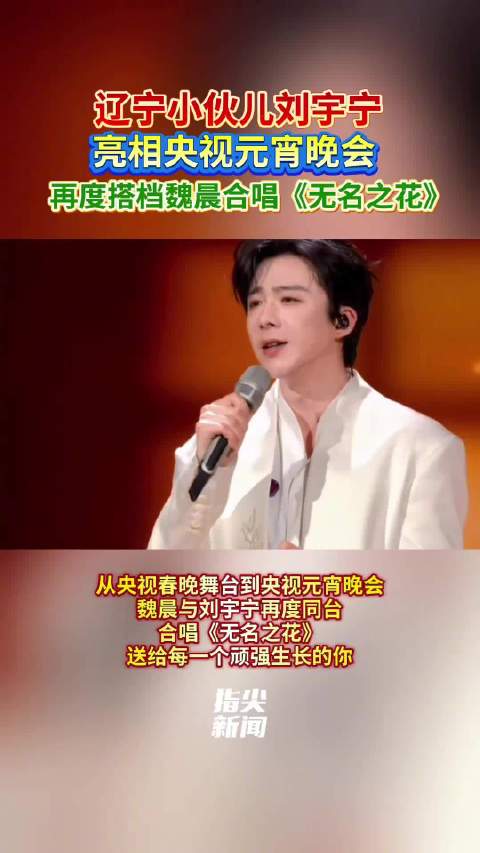 辽宁小伙儿刘宇宁亮相央视元宵晚会 再度搭档魏晨合唱《无名之花》