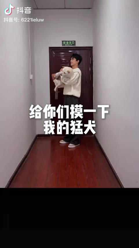 from 我家男孩的抖音，㊗美好的你我他们，元宵节快乐！@吴磊LEO