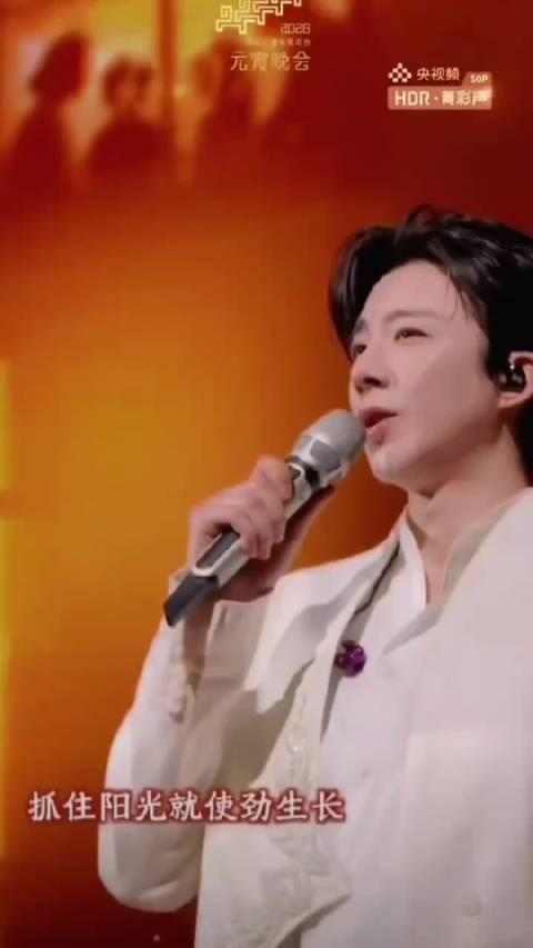 刘宇宁央视元宵晚会献唱《无名之花》
