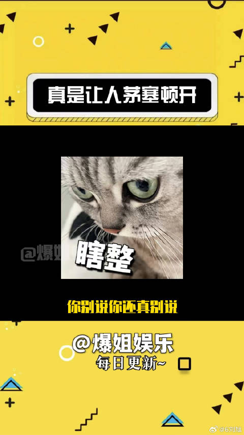 你别说，你还真别说！娱乐评论大赏