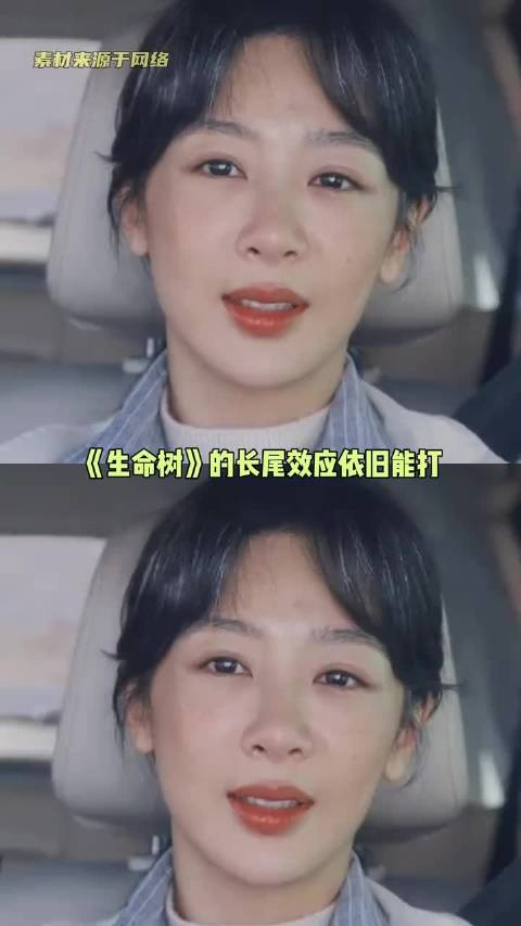 电视剧《生命树》题材口碑收视招商全面开花