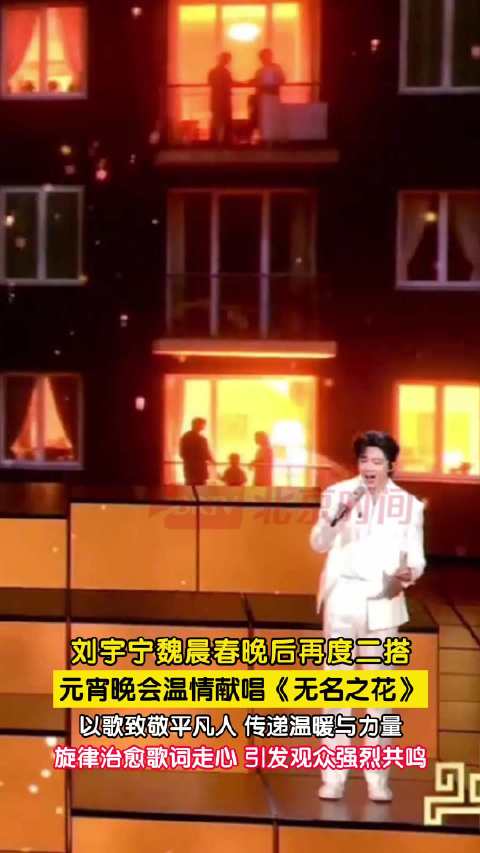 刘宇宁魏晨无名之花