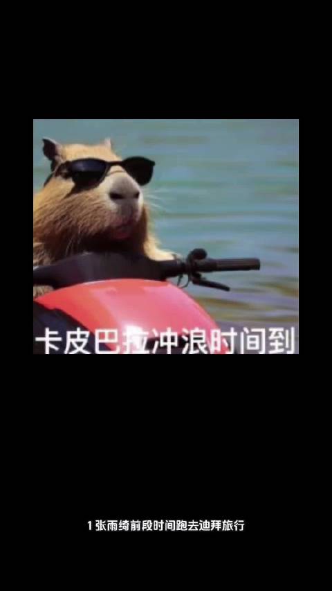 张雨绮滞留迪拜避谈炫富，吴倩备孕拒复工，陈学冬获绿卡退圈