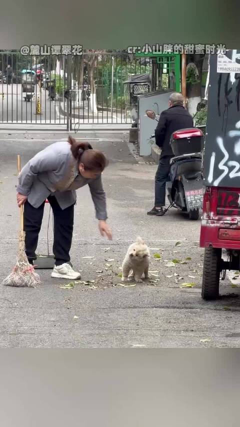 星光温柔撒向大地，心灵创伤逐渐愈合