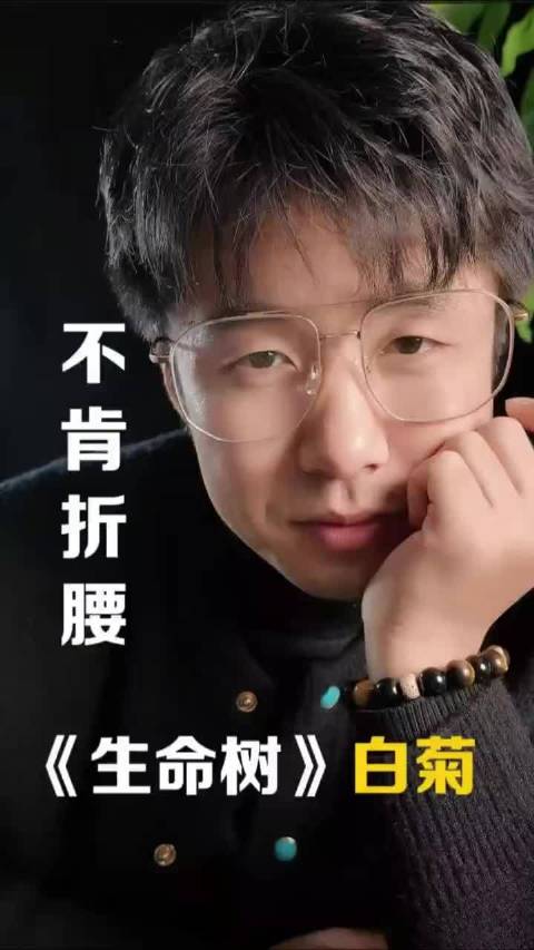 《生命树》白菊：丢掉滤镜的杨紫，高原上不肯折腰的野菊