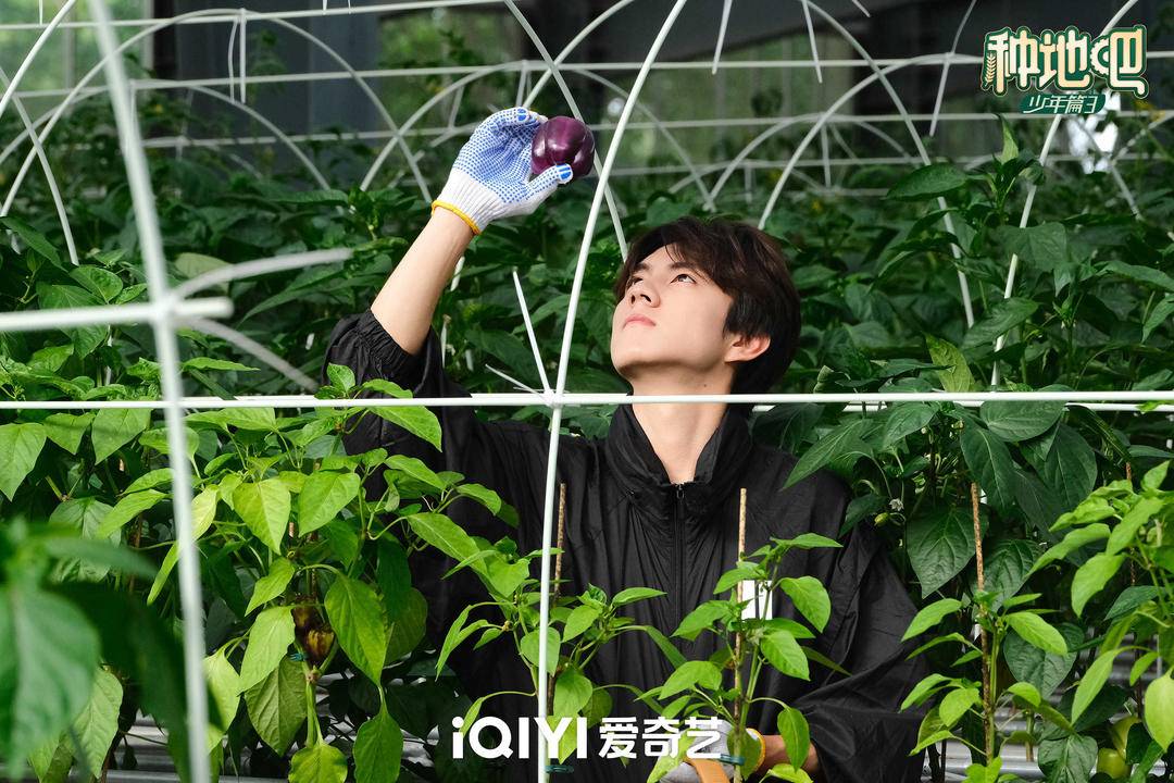 十个勤天抓住两头野猪，获封“青川护林卫士”