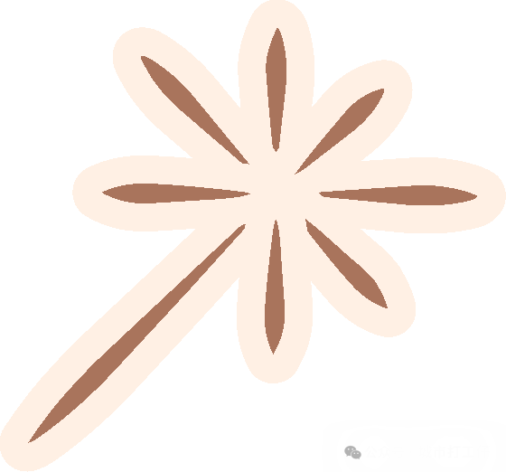 明星大侦探第十一季重磅来袭!!!