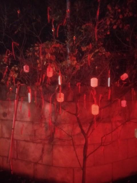 【书摘】《红楼梦》中宝玉、宝钗所行射覆令解读