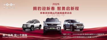 方程豹2025年开门红:销量突破6219辆