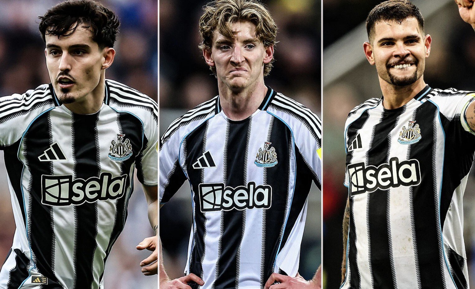 跟队:纽卡今夏不卖吉马良斯,还希望至少再留托纳利一个赛季