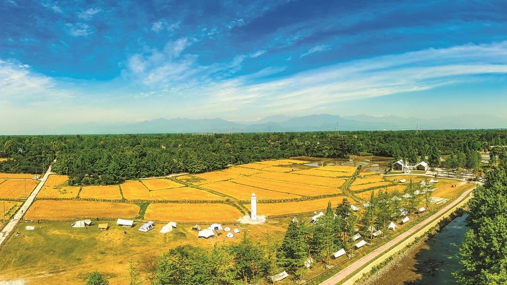 此乡可栖，此梦可安