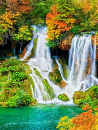 全国多地景区妇女节对女性免票