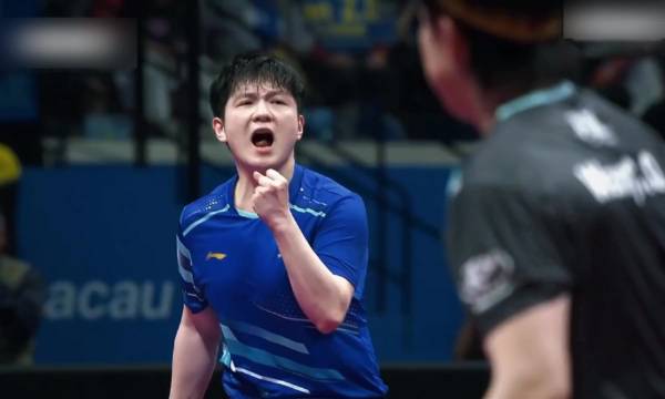 樊振东缺席国际赛事引球迷期待