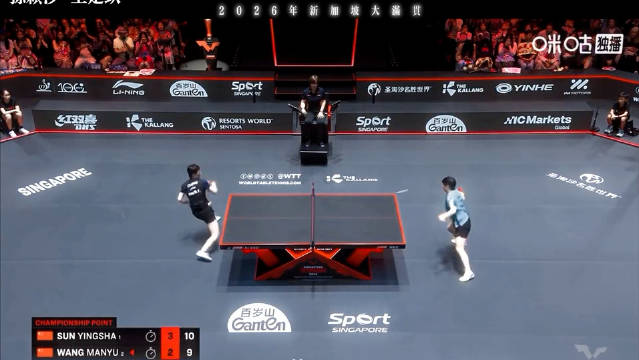 王楚钦孙颖莎赛场拼搏为国争光