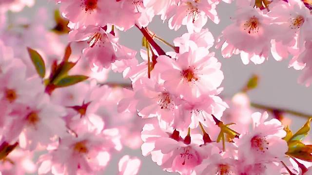 青年奋进创造奇迹，信心努力铸就成功