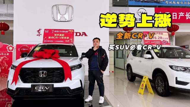 城市通勤家用首选 紧凑SUV标杆 探店东风本田CR-V