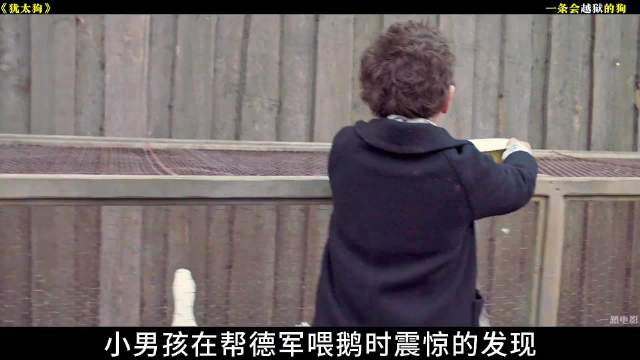 一只会越狱的犹太狗