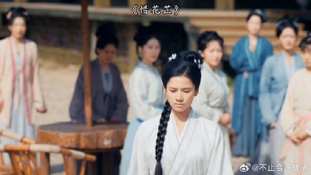 《惜花芷》花芷和家人生隔阂