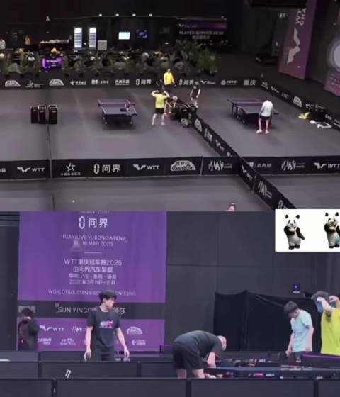 王楚钦孙颖莎组合训练视频引热议