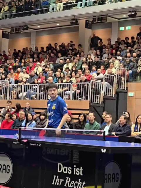 王励勤回应樊振东归队进展，海外全胜全运直通铺路