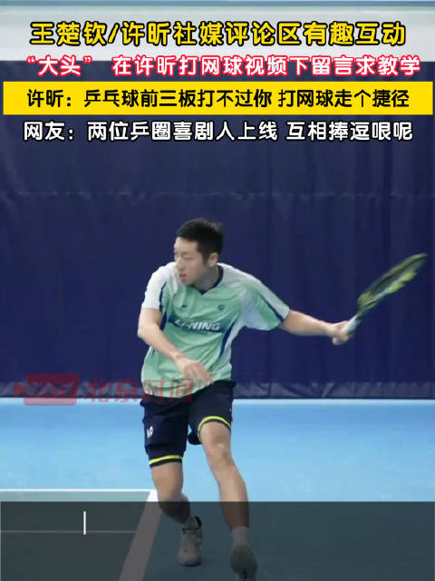 王楚钦许昕社媒评论区有趣互动