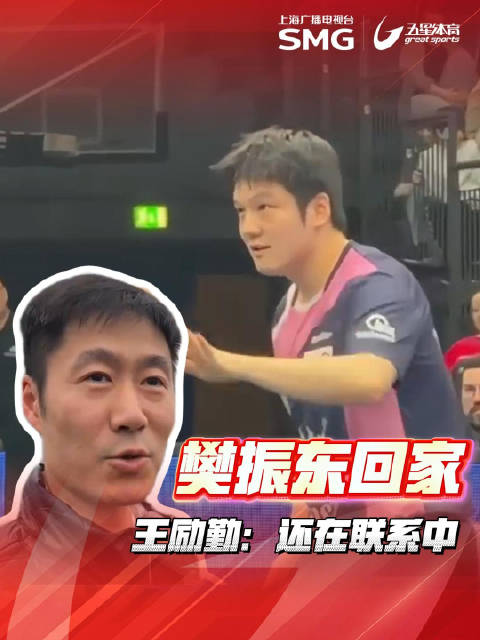 王励勤回应樊振东归队进展，称仍在联系尊重球员选择