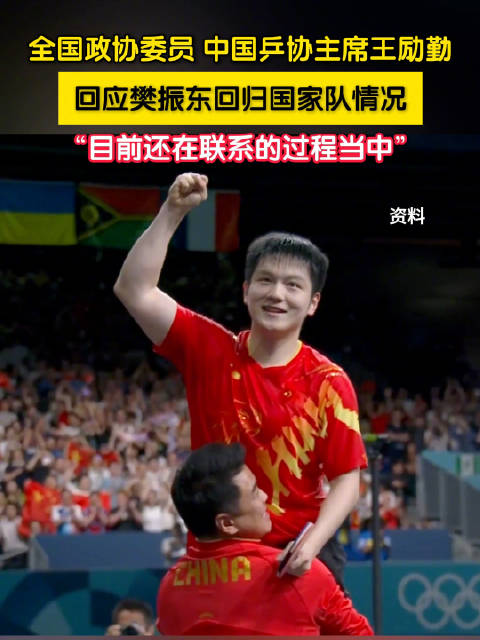 王励勤回应樊振东回归国家队情况