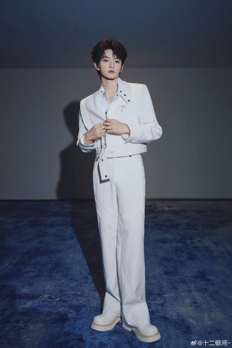 网友对蔡国庆穆祉丞版《白龙马》的主要评价是什么？