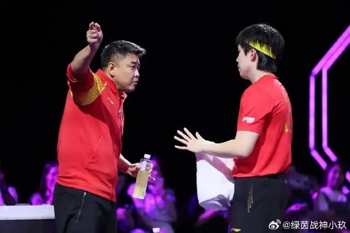 球迷对樊振东回归国家队的态度和期待是什么？