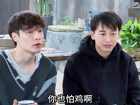 当杨紫遇到张艺兴哈哈哈