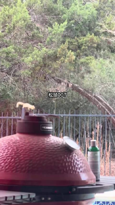 碟中谍之松鼠特工