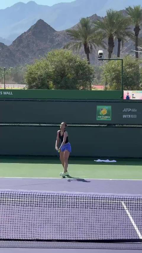 郑钦文官宣新教练巴格达蒂斯加盟，澄清与里巴合作暂休整