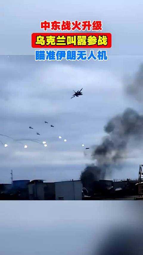 乌克兰提议以技术支援换俄乌停火，中东国家未回应