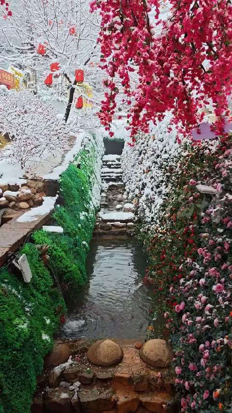 雪歇柿岩 山野萌动