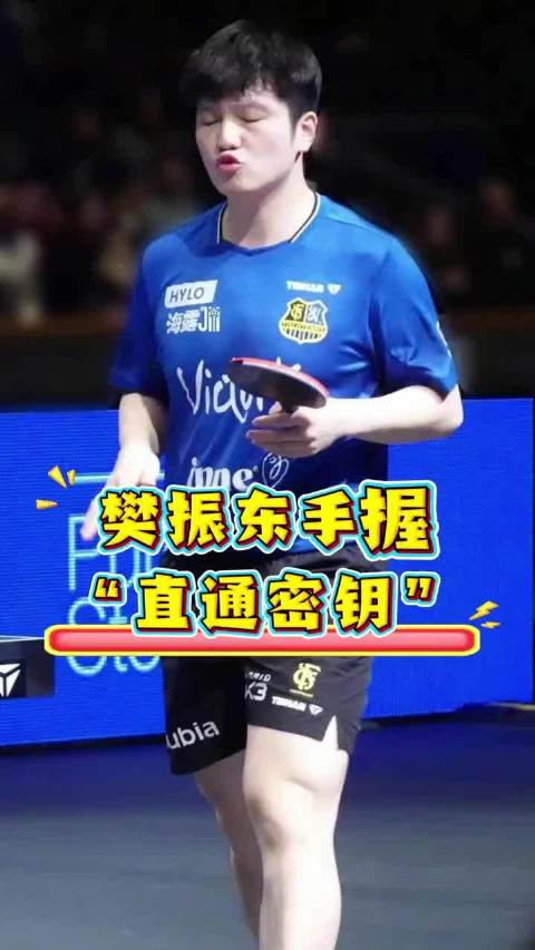 王励勤称与樊振东沟通持续，球迷盼其早日归队